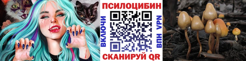 Псилоцибиновые грибы Psilocybine cubensis Агрыз